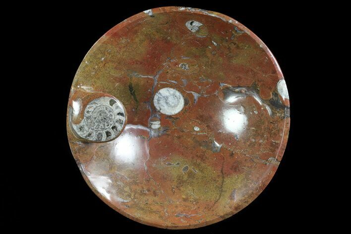 Fossil Goniatite Bowl - Stoneware #73761